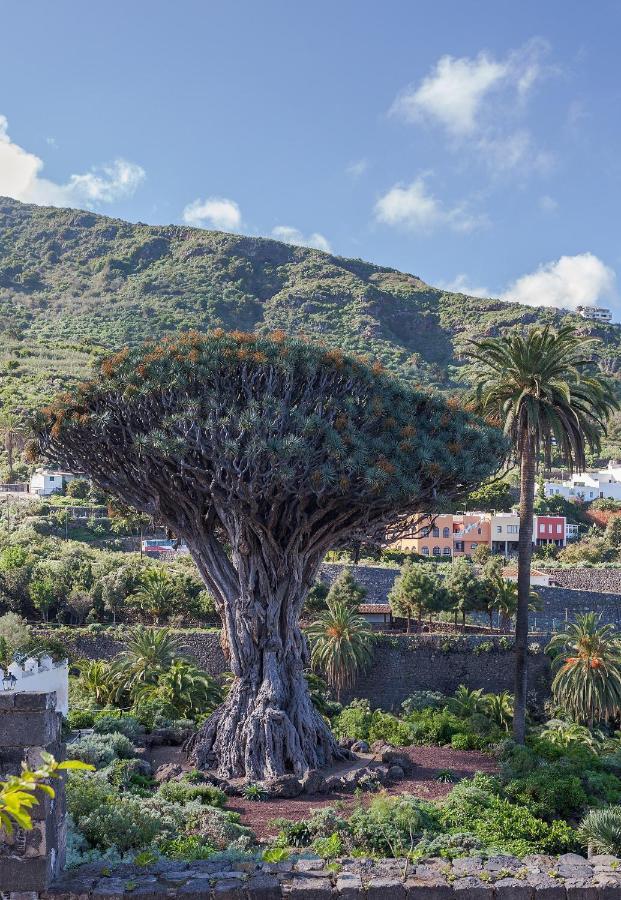 イコー・デ・ロス・ビノスTerraza Centrico Pueblo Aparcamiento Cercaアパートメント エクステリア 写真